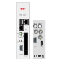 Ресивер сдвоенный DMM-2200P-S2 PBI, IP, ASI выходы, 2CI