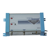 Усилитель домовой AE 210 Телемак, импульсный
