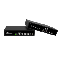 VoIP-PRI шлюз Yeastar TE100