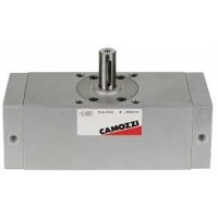 Цилиндр пневматический поворотный Camozzi 30-063/180