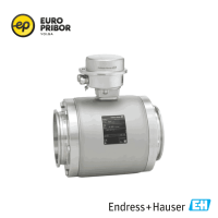 Электромагнитный расходомер Proline Promag H 100 5H1B22 Endress+Hauser