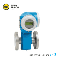 Расходомер электромагнитный Promag P 300 5H3B50-AAIBAEAFAAFDASGAA1+LA Endress+Hauser