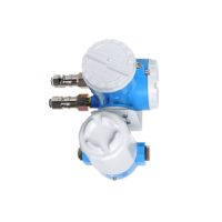 Датчик утечки масла Endress+Hauser NRR261