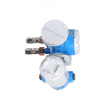 Датчик утечки масла Endress+Hauser NRR261