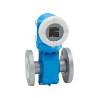 Электромагнитный расходомер Proline Promag P 10 5PBB1Z Endress+Hauser