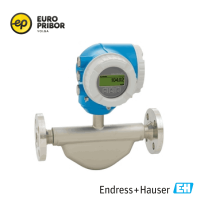 Кориолисовый расходомер Proline Promass E 300 8E3B25 Endress+Hauser
