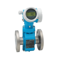 Электромагнитный расходомер Proline Promag P 200 5P2B65 Endress+Hauser