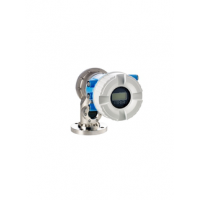 Уровнемер буйковый Proservo Endress+Hauser NMS83