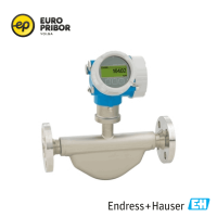 Кориолисовый расходомер Proline Promass E 200 8E2C50 Endress+Hauser