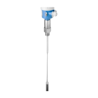 Уровнемер емкостной Endress+Hauser Liquicap FTI52