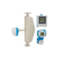 Кориолисовый расходомер Endress+Hauser Promass H 500