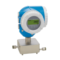 Кориолисовый расходомер Cubemass C 300 8C3B04 Endress+Hauser